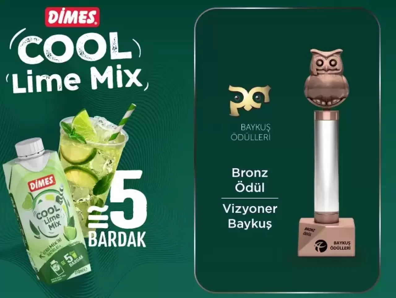 Vizyoner Baykuş bronz ödülünün sahibi Dimes