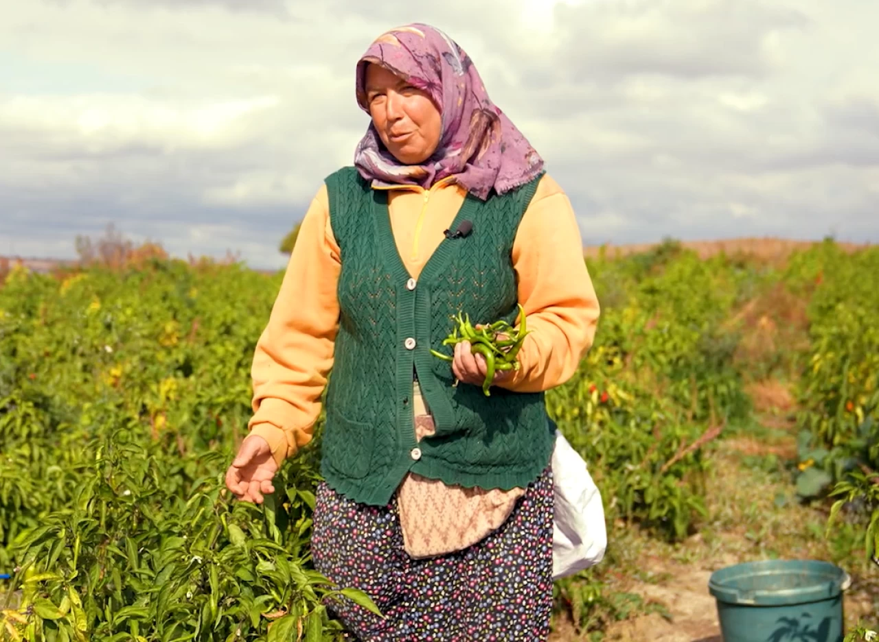 Ucuz gıda için 61 yerde tarım bölgeleri kuruluyor