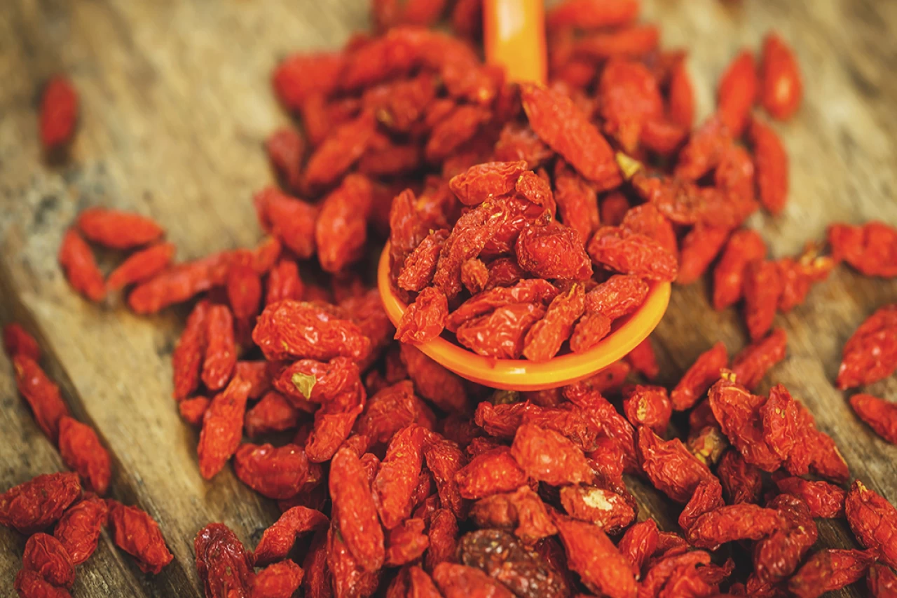 Ağrı Dağı'nda goji berry mucizesi