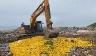 "Çok tehlikeli" pestisit kullanılan limonlar çöplükte imha edildi