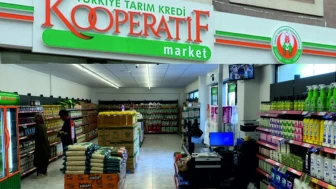 Tarım Kredi Kooperatifi marketlerinde hangi tohumlar satılıyor?