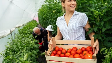 Kışın domates yemek zararlı mı?