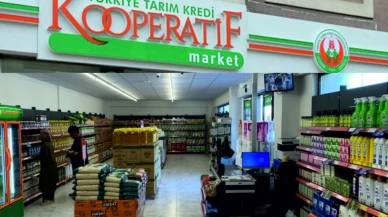 Tarım Kredi Kooperatifi marketlerinde hangi tohumlar satılıyor?