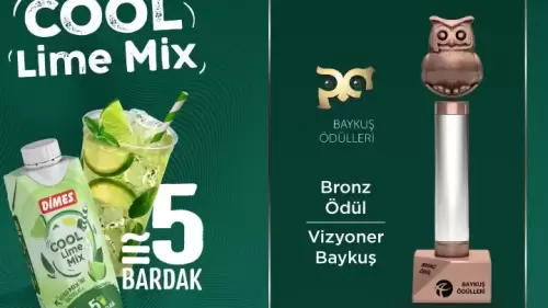 Vizyoner Baykuş bronz ödülünün sahibi Dimes