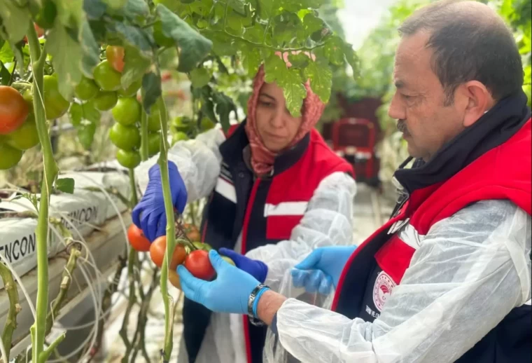 Pesitisit denetim sonuçları ilk kez açıklandı! Meyve sebzelerdeki son durum ne? 1