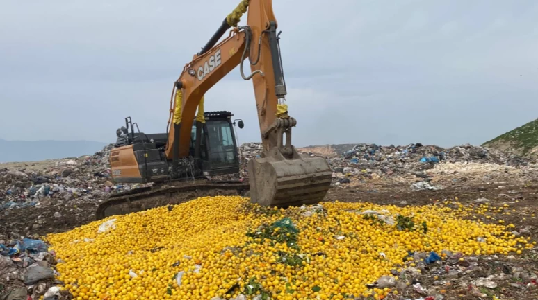 "Çok tehlikeli" pestisit kullanılan limonlar çöplükte imha edildi